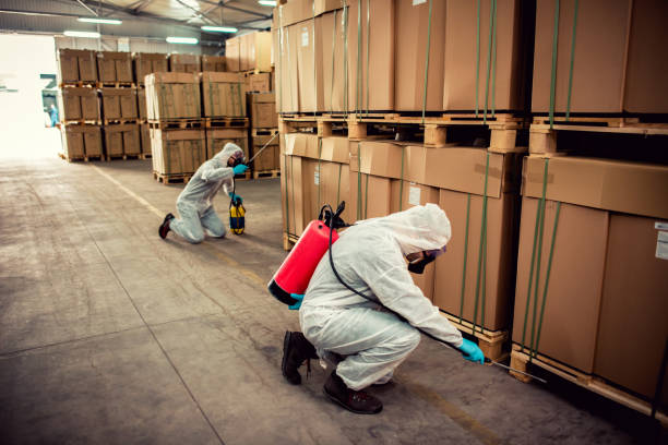 Best Termite Control Services  in Mound, MN