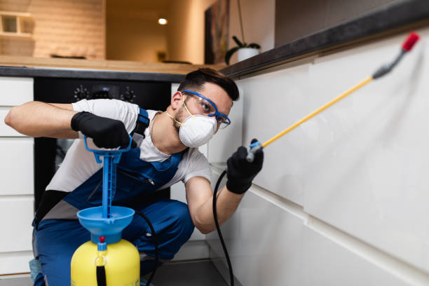 Best Exterminator Services  in Mound, MN