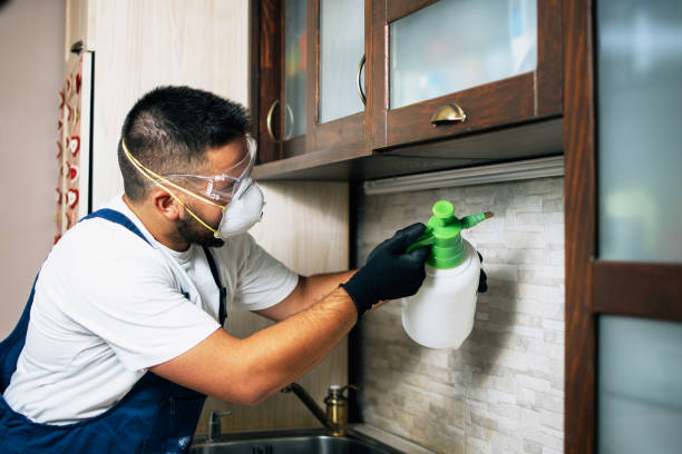 Best Pest Inspection Near Me  in Mound, MN
