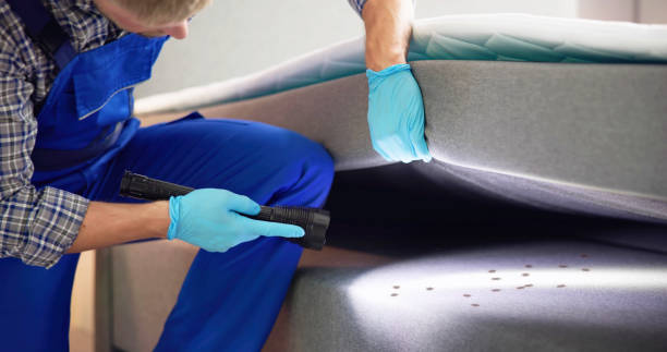 Best Bed Bug Extermination  in Mound, MN