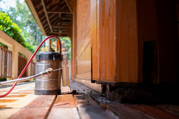 Best Pest Control for Homes  in Mound, MN