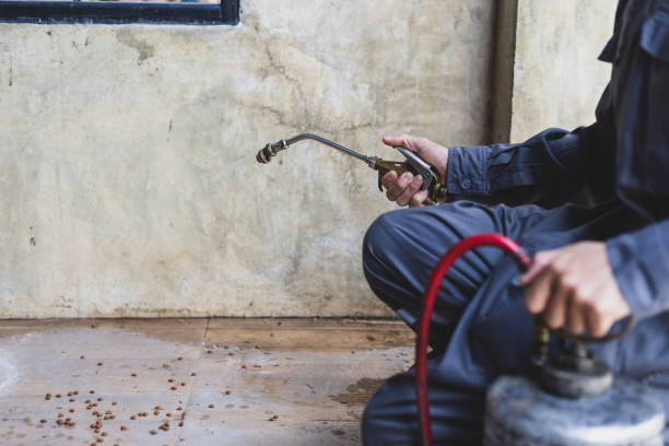 Best Residential Pest Control  in Mound, MN